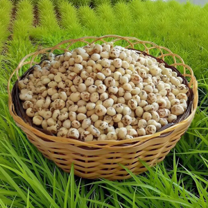 WENXIANGZAN | Natural Unprocessed Tiger Nut Snack