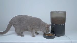 Automatic Pet Cat Dog Feeder 4L Tuya APP Remote WIFI Smart Pet Feeder Distribution Does Not Get Food Stuck