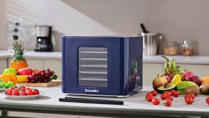 BioloMix 6 Trays Food Dehydrator with LED Touch ControlDigital Temperature and TimeDryer for Fruit Vegetable Meat Beef Jerky