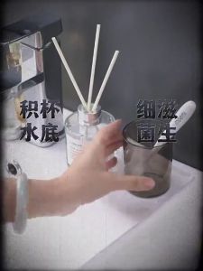 Rak Sikat Gigi Set Dengan Cangkir Kumur Dispenser Odol Tempel Dinding Organizer Rak Toothbrush