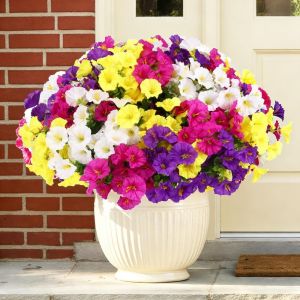 1/3Pcs Artificial Fake Silk Morning Glory Flower Green Eucalyptus Plant UV Protection for Porch Courtyard Garden Home Decoration