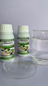 Nấm hồng ghẻ sẹo vàng lá cho cây trồng - Nano Đồng (Dr phoenix) chai 100ml