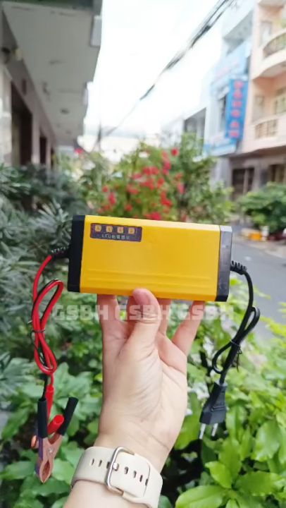 Bộ Sạc Ắc Quy 220V Ra 12V 2A-3A Có Đèn Báo Tiện Lợi | Lazada.vn