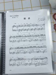 20/30 Sheet Music Score Holder Modified Non-Reflective A4 Size Sheet Document File Organizer Folder