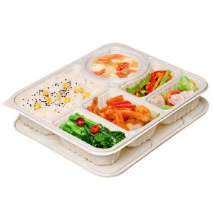 Degradable Corn Starch Based Disposable Lunch Box Four Grids Five Grids Lightweight Food Packaging Box Eco-Friendly Takeout Container