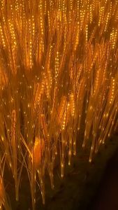 COD LAMPU LED MOTIF PADI 1 SET ISI 10 - LAMPU HIASAN TENDA & BACKDROP DEKORASI - IMPORT