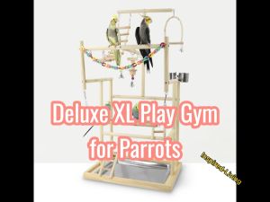 Bird Toy & Parrot Playstand | Bird Playground - Wooden Bird Toy Play Gym with Cup Toys Tray Swing Climbing Ladder and Perches