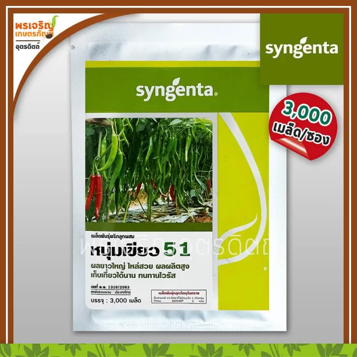 เมล็ดพันธุ์พริกหนุ่มเขียว 51 F1 ซินเจนทา Syngenta