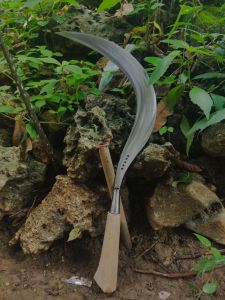 Arit rumput sabit padi cap bintang lima gagang lancip