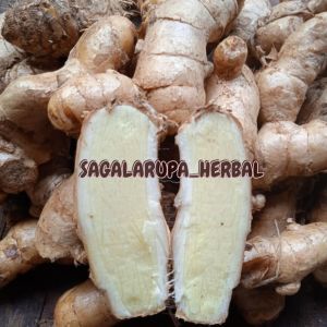 KUNYIT PUTIH 1 KG ASLI PEGUNUNGAN(BERSIH)