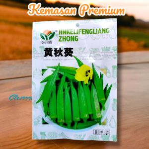 (KEMASAN PREMIUM) BIJI/BENIH SAYURAN OKRA HIJAU (isi -+90 butir)