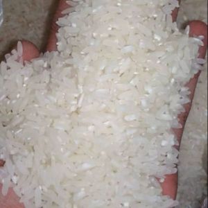 BERAS PULEN 1KG