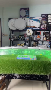 IWACHI ป้ายไฟฉุกเฉิน EMERGENCY-SIGNS-3W-EXIT ป้ายทางออก สำรองไฟ 3 ชม. สินค้ามีมอก.