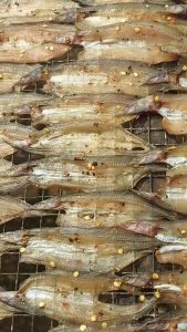 Khô Cá Chạch Đồng Xẻ Rút Xương - Túi Hút Chân Không 500g - Đặc Sản An Giang