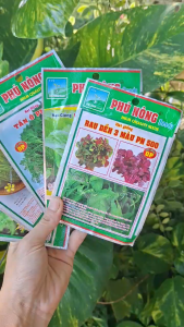 [TRUNG THIEN THINH] COMBO 5 LOẠI HẠT GIỐNG RAU MÙA MƯA DỄ TRỒNG