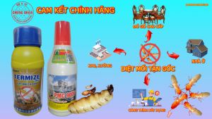 Bộ đôi thuốc diệt mối tận gốc rễ PMC 90DP 80g &Termize 200SC 50ml- kèm cây bóp bột