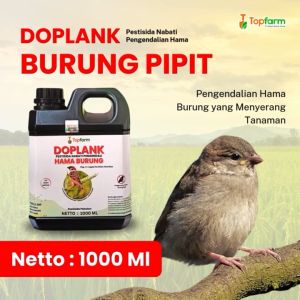Pestisida Topfarm: Solusi Pengendalian Burung Pipit pada Padi