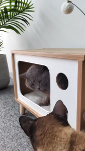 Ready Stock" Cat House Wood Cat Condominium Sleeping Indoor Decorative Furniture Pet Cabin Cosy Perches Stable Cat Enclosure Pet Play House Activity Centre