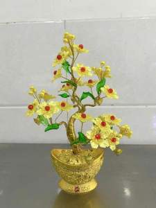 Cây tài lộc mẫu mới