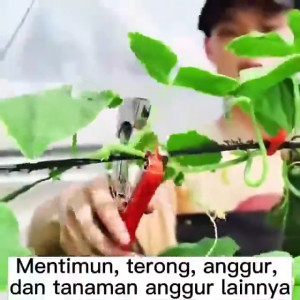 Tapetool Hand Tying Machine Alat Pengikat Lanjaran Tanaman Paket Refill Mujati Agrostar Set