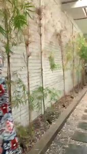 Gaun Rayon Premium Panjang: Tampil Cantik & Percaya Diri