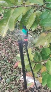 รดน้ำต้นไม้ รดน้ำสนาม รดน้ำพืชสวน พืชไร่ แพ็ค5-10ชิ้น หัวมินิสปริнгเกอร์สปริงเกอร์