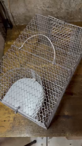 LỒNG BẪY CHUỘT THÔNG MINH AN TOÀN QC 34*23*17cm