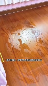 Upgraded Version of Odor-Removing And Fragrant Mopping Floral Water