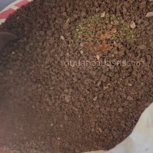 (ส่งฟรี)ขี้หมูบดละเอียด 1 กระสอบ(7-10 kg.) ขี้หมูบด ปุ๋ยคอก มูลสัตว์ จัดส่งสินค้า 5-7 วันทำการ