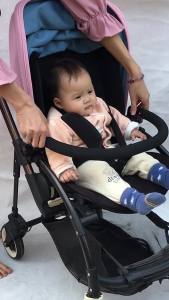 2025Baby Stroller accessories Extend Handle Hailrail and Adjustable Armrest For Bugaboo Bee 3 Bee 5 Bee6