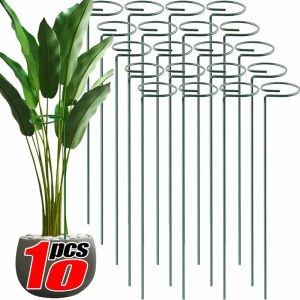 Dizoey 10PCS Plant Support Frame Garden Plant Stake Cage Flower Stand Single Stem Shrub Holder Garden Stand for Rose Peonie Lilie Tall Flower