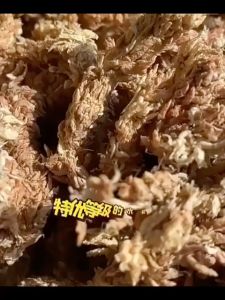5KG HIGH QUALITY SPHAGNUM MOSS ORCHID GARDEN PLANT 水苔 兰花水苔 5kg shpagnum moss