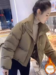 Shalldoer | Popular Short Cotton Coat with Stand Collar