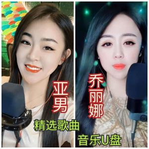 USB Flash Drive MP3 Car Audio High Quality Music Cover Popular Network Songs Universal Portable Storage Device Beauty Tools