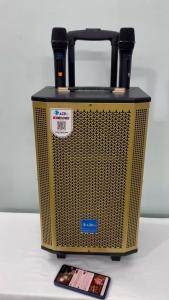 Loa Bluetooth chính hãng Azpro AZ-D1108 mẫu mới nhất mạch 12 núm chỉnh có revertMic Set tần số