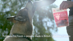 (NEW) FirstMate Wild Pacific Caught Fish & Oats Formula for Dogs Dog Food 2.3kg (Grain Friendly)