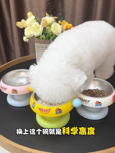High Leg Cat Bowl / Elevated Pet Bowl for Neck Protection/Stainless Pet Food Bowl/Cat Bowl Dog Bowl Removable