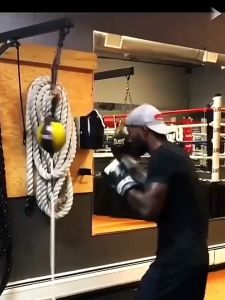 Double End Muay Thai Boxing Punching Bag & Speed Ball: A Guide to Versatile Martial Arts Gear