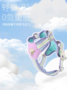 Breathable Dog Leash Small Dogs Bichon Vest Style Anti-Escape Walking Dog Rope Teddy Pomeranian Pet Chest Strap Breathable