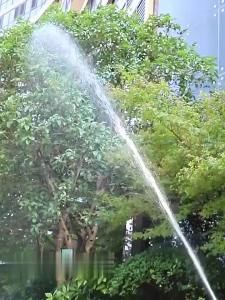 Garden Water Hose 3 Times Expandable Watering Hose High Pressure Flexible Car Wash Watering Garden Irrigation Magic Hose Pipe