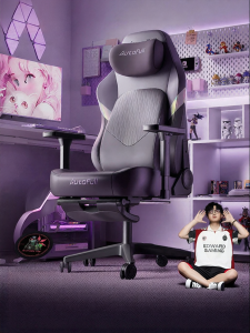 Ergonomic Gaming Chair