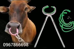 Combo (1 kìm bấm + 12 vòng nhựa ) Mũi Trâu Bò Dê Gumbo Dễ Dàng Sử Dụng