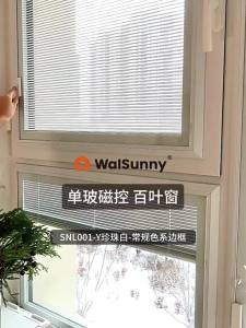 Magnetic Aluminum Venetian Blind Hollow Single Glass Inset Honeycomb Curtain