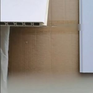 100 pcs clip WPC panel Wallpanel WPC Stainless Steel Clip