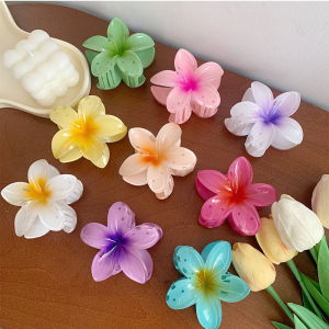 Cross-border Hit Egg Flower Hair Clip 8cm