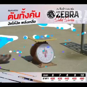 คันสปิ้น(ซีบร้า โซริท ซีรีย์)เวท 80-150g. คันตันไฟเบอร์ ตกทะเล ตกหน้าดิน ตีจิ๊ก เหนียวโค้งสวย