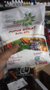 Pupuk Borat Boron 47% Cakwa Pandawa 1 Kg Original