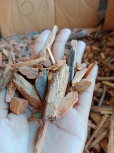 buhur kayu raja gaharu agatis great kacangan kemasan 500 gran