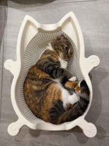VOA | Cooling Pet Bed For Cats