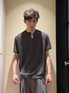 Elegant Stylish Henry Collar T-Shirt Short Sleeve